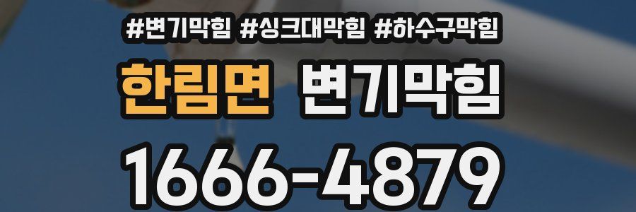 변기막힘