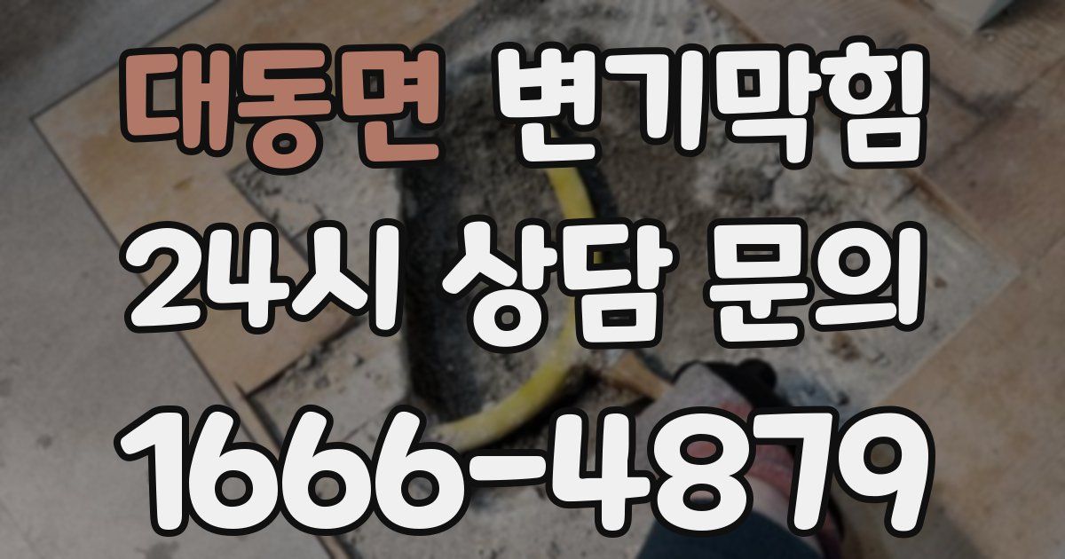 대동면 변기