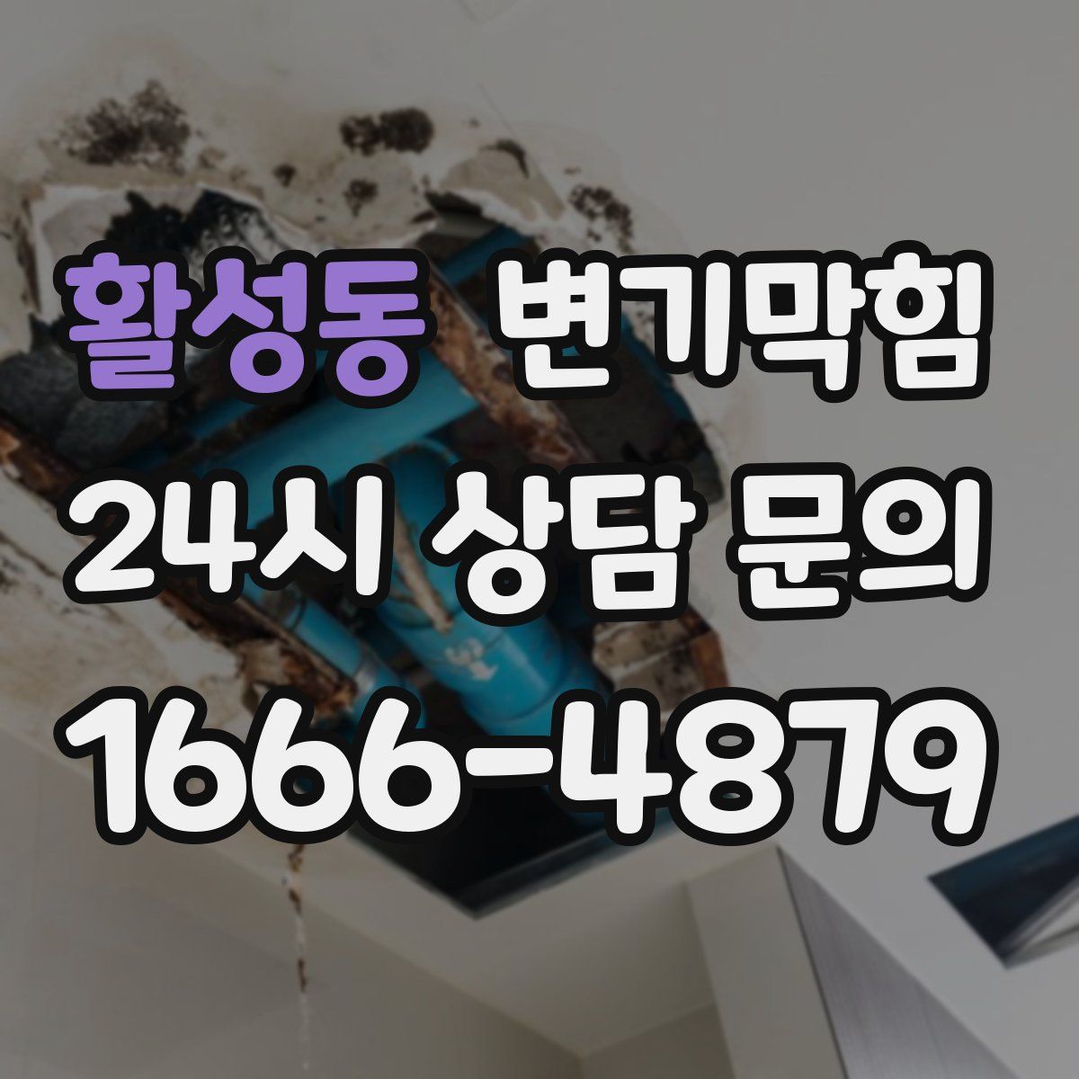 활성동 변기막힘