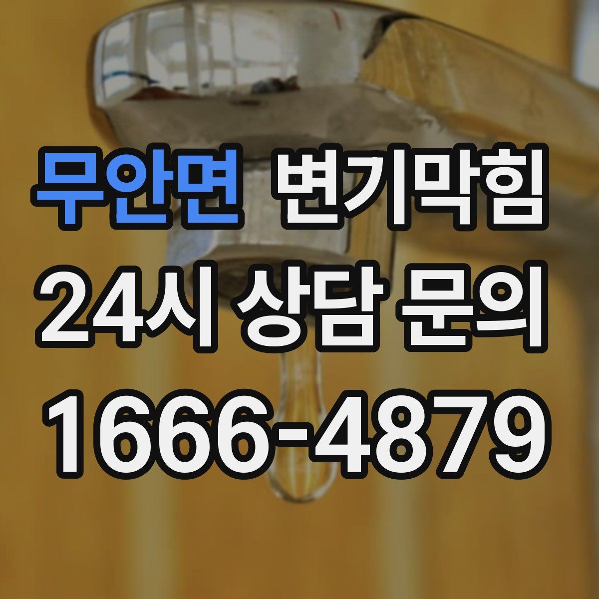 무안면 변기막힘
