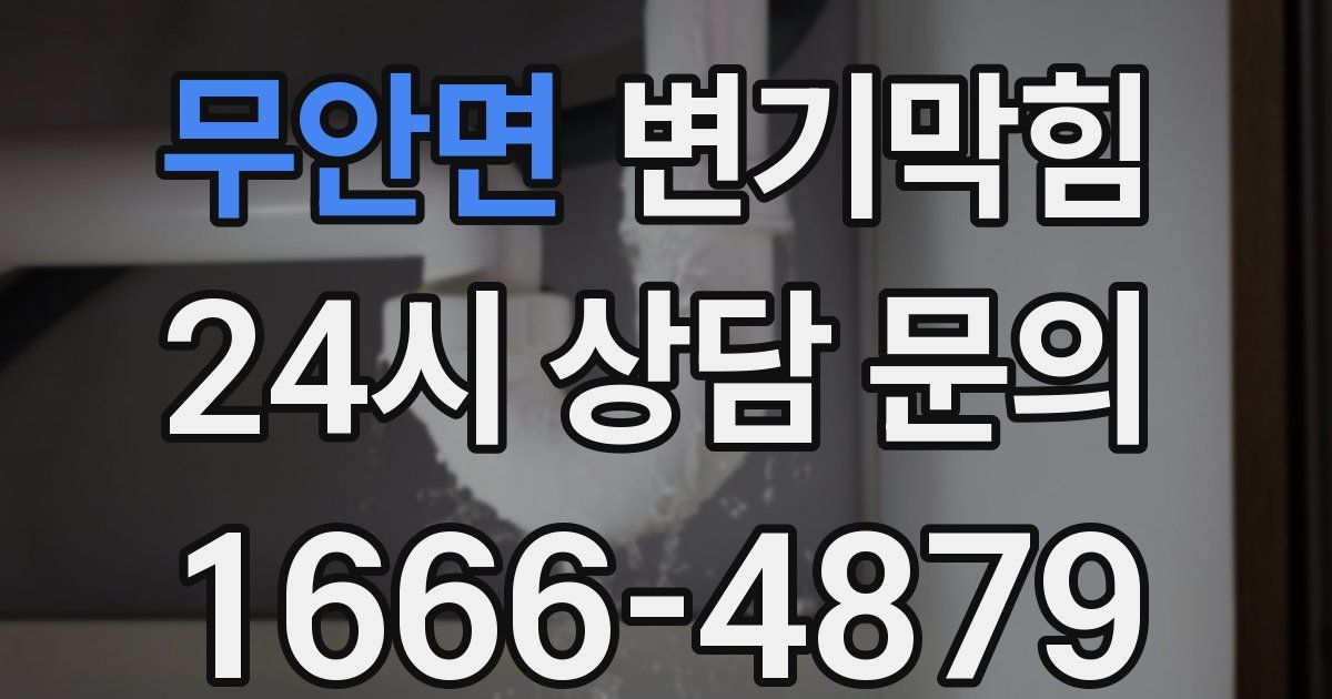 무안면 변기