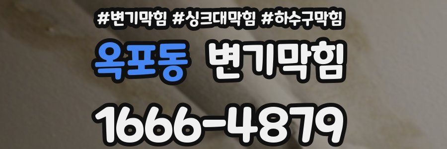 변기막힘