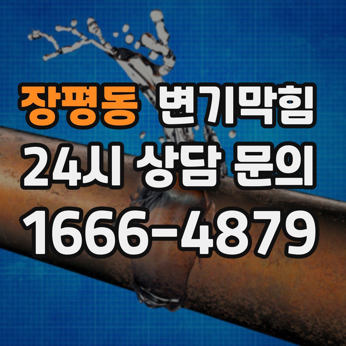 장평동 변기막힘