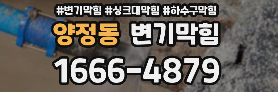 변기막힘