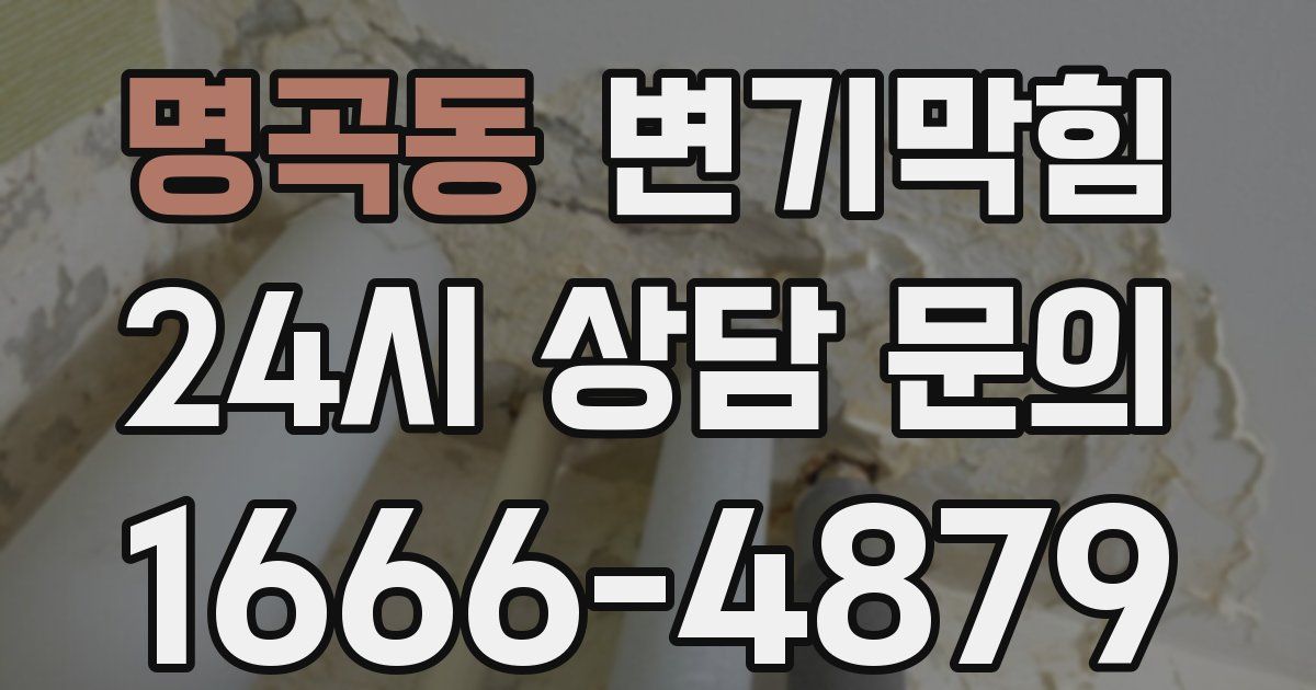 명곡동 변기