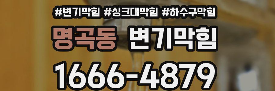 변기막힘