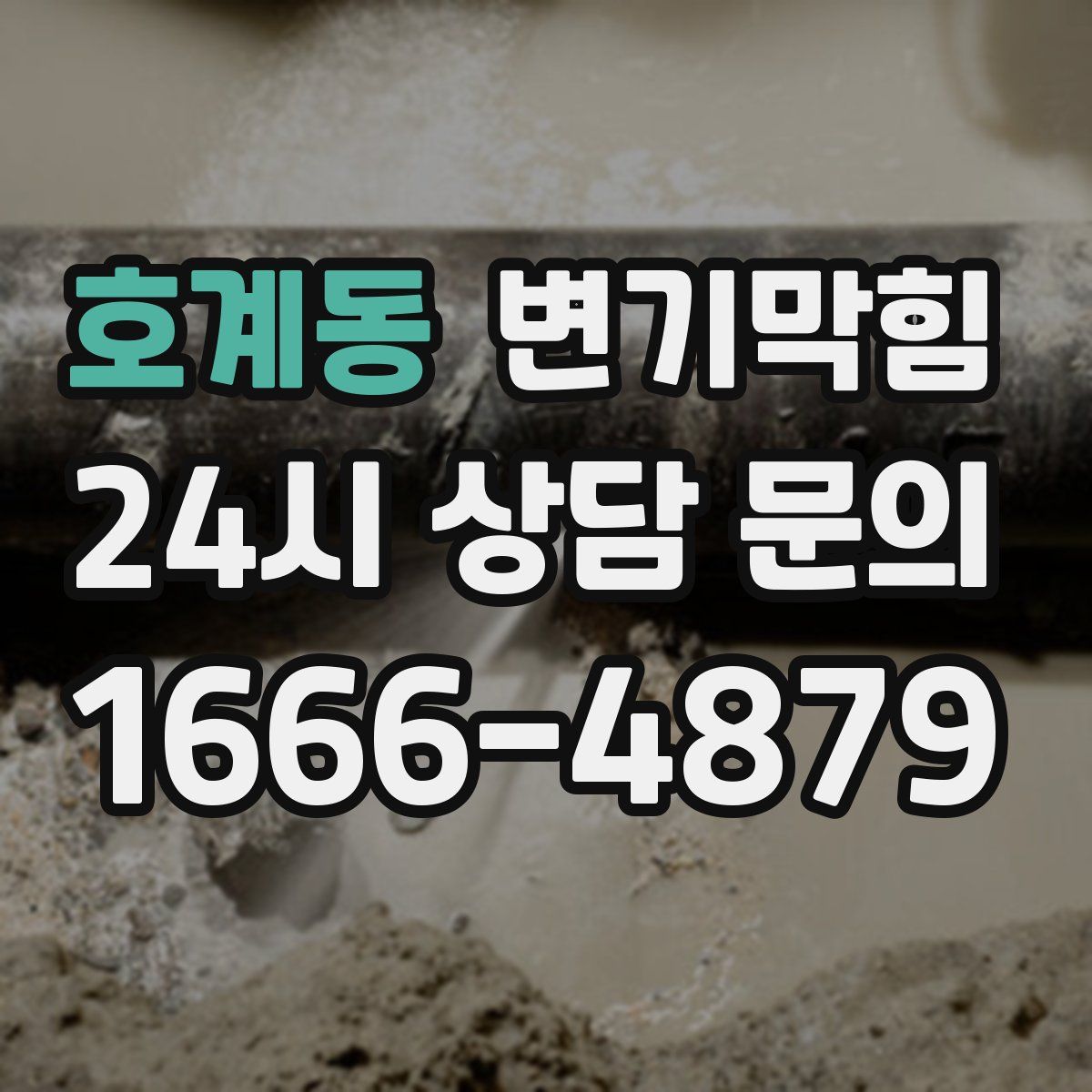 호계동 변기막힘