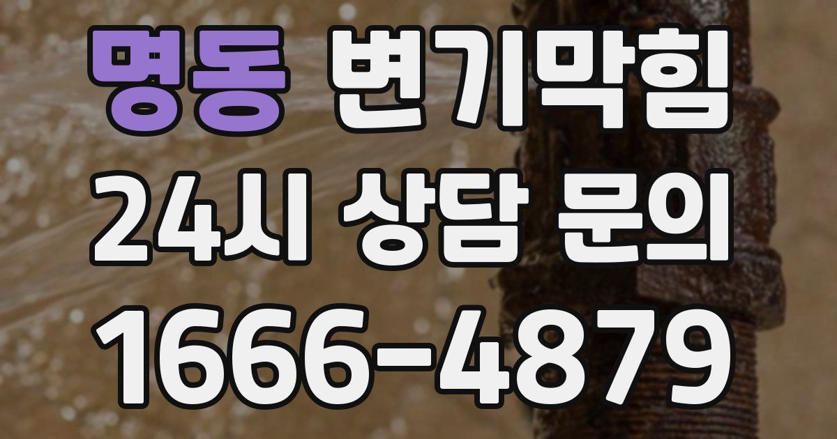 명동 변기