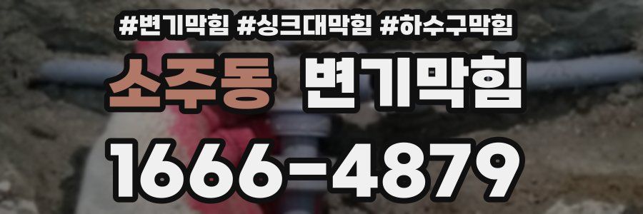 변기막힘