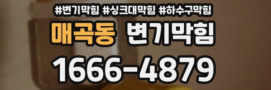 변기막힘
