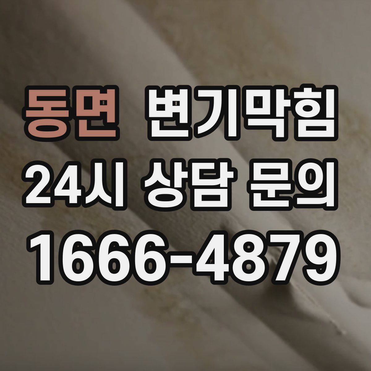 동면 변기막힘