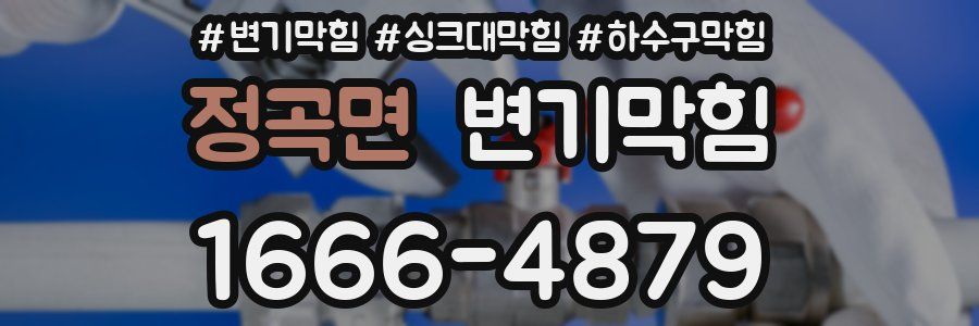 변기막힘