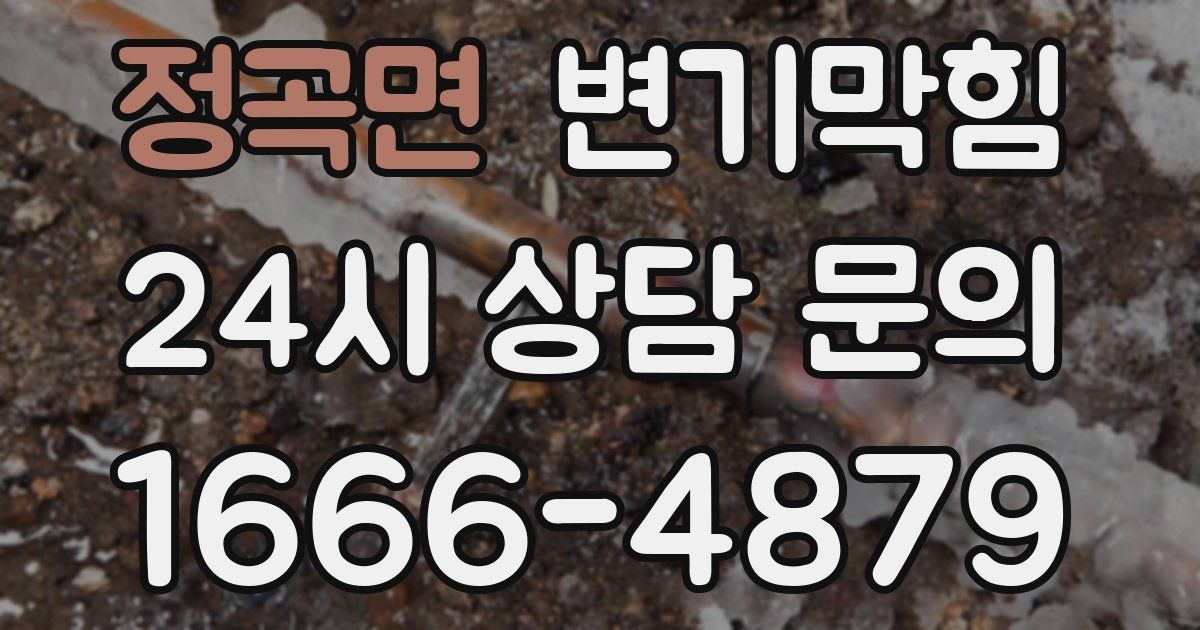 정곡면 변기