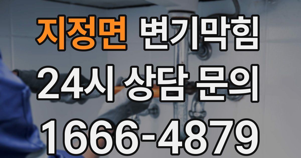 지정면 변기
