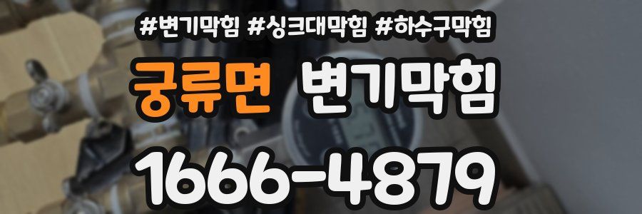 변기막힘