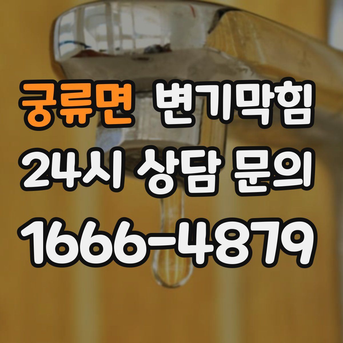 궁류면 변기막힘
