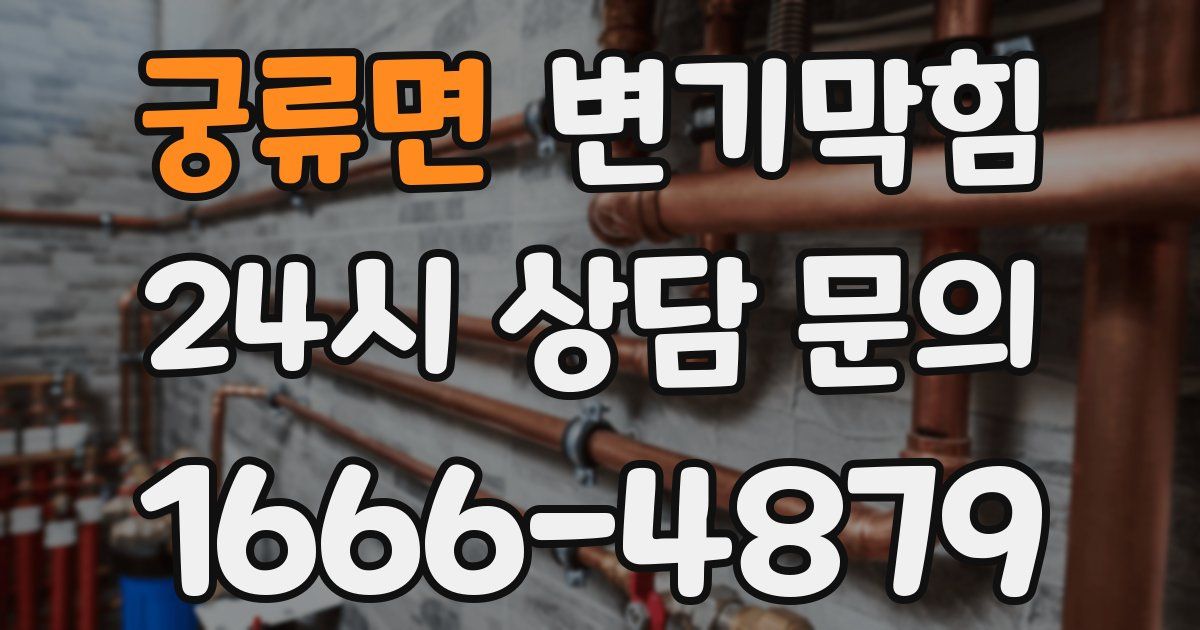 궁류면 변기
