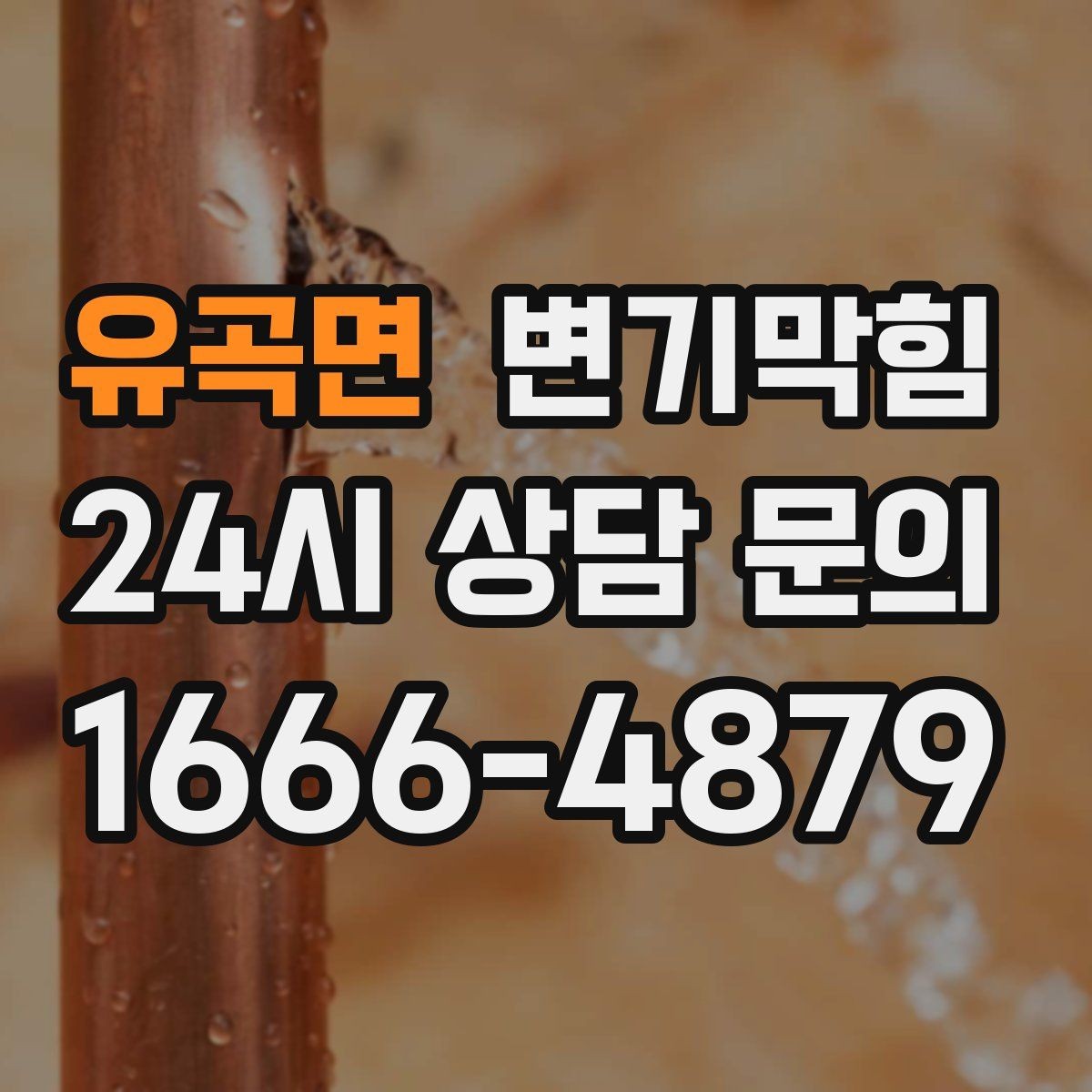 유곡면 변기막힘 뚫어뻥 대형·소형 차이와 선택