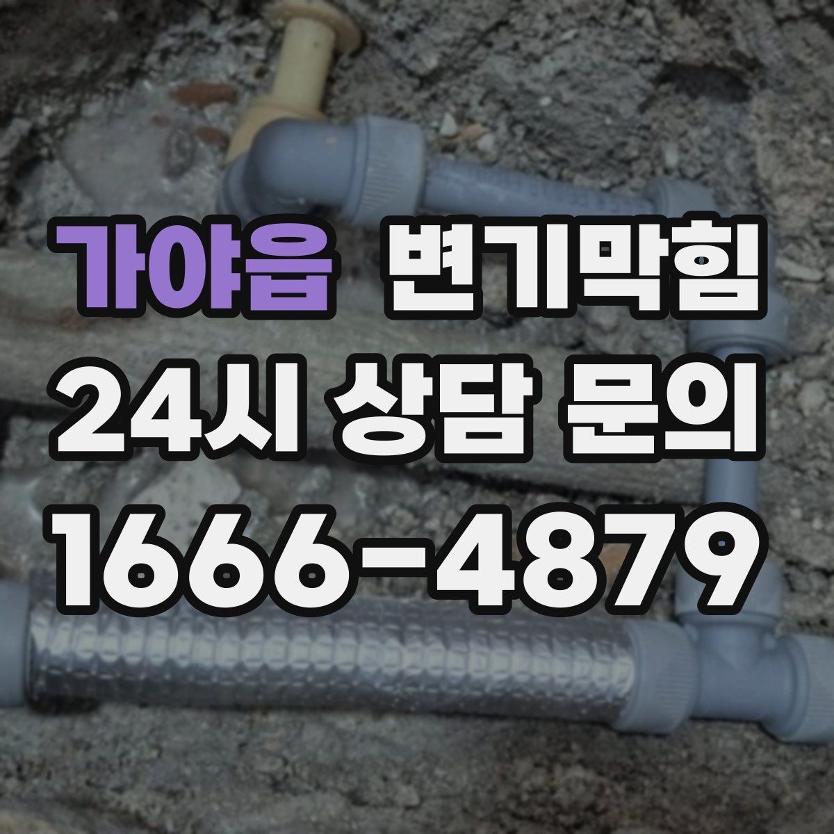 가야읍 변기막힘 변기 뚫는 업체 예약 확정 문자 확인