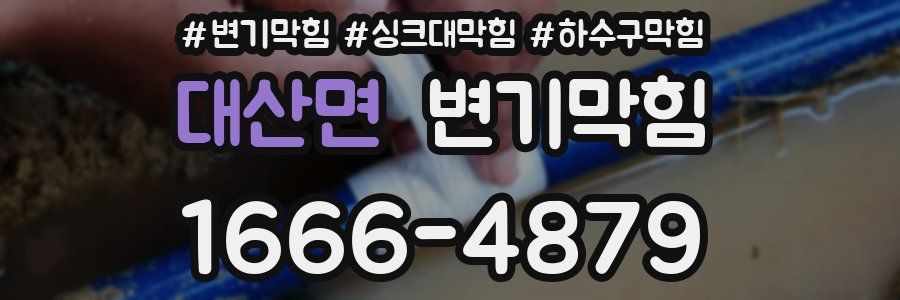 변기막힘