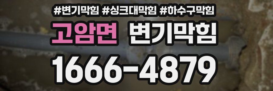 변기막힘