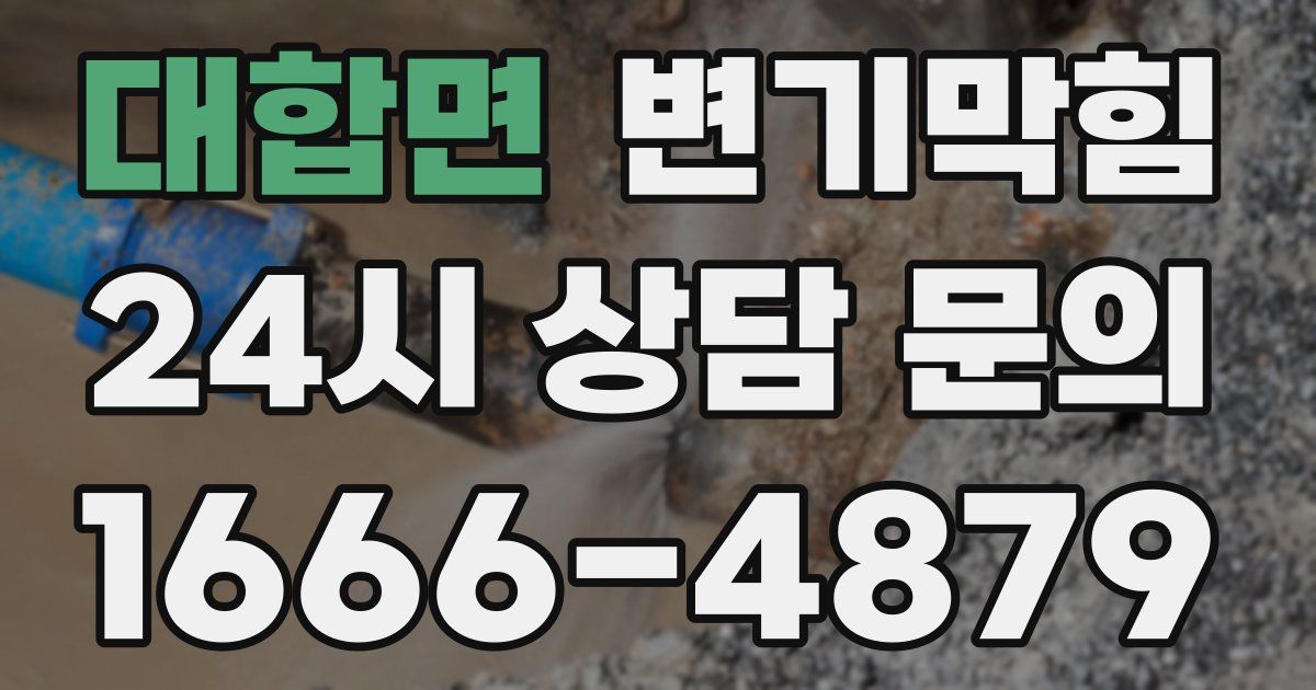 대합면 변기