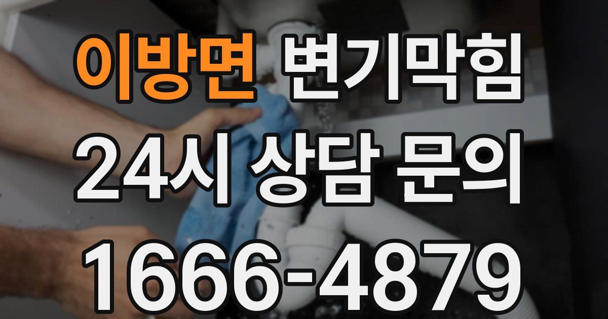 이방면 변기