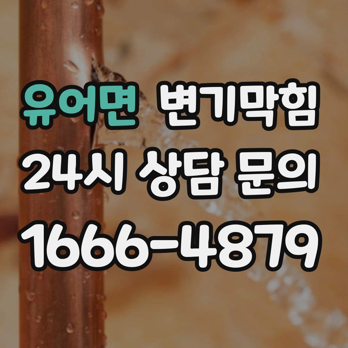 유어면 변기막힘 사무실 화장실역류 회의 일정 지킨 복구
