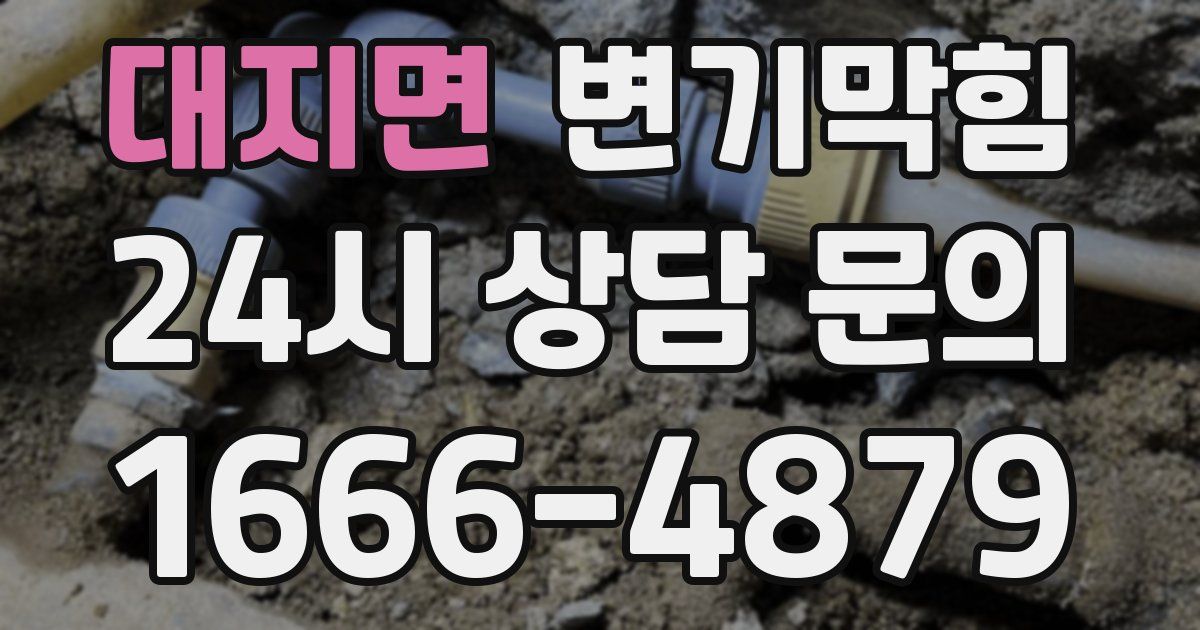 대지면 변기