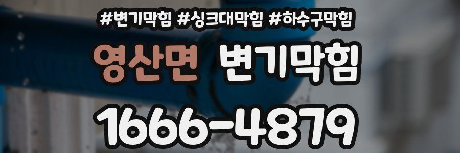 변기막힘