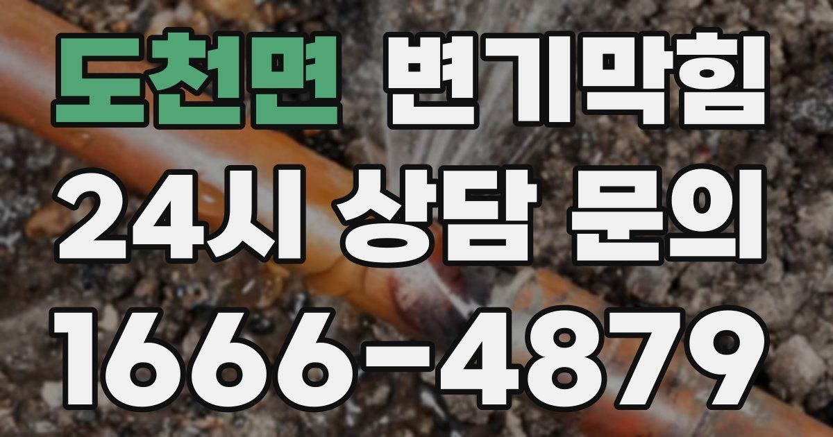 도천면 변기