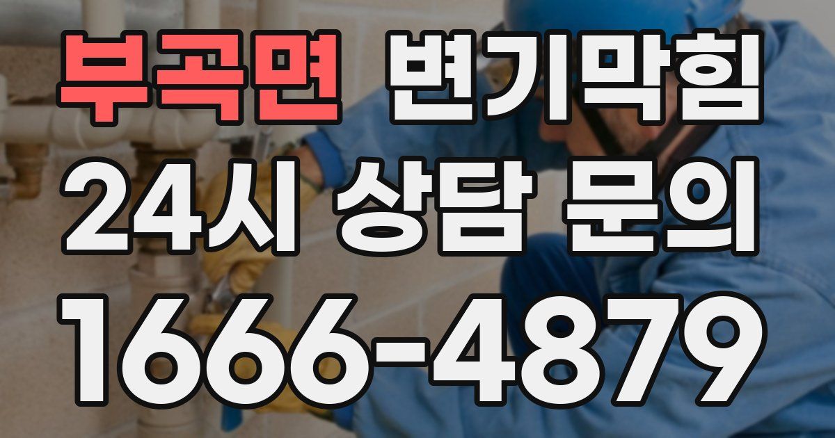 부곡면 변기