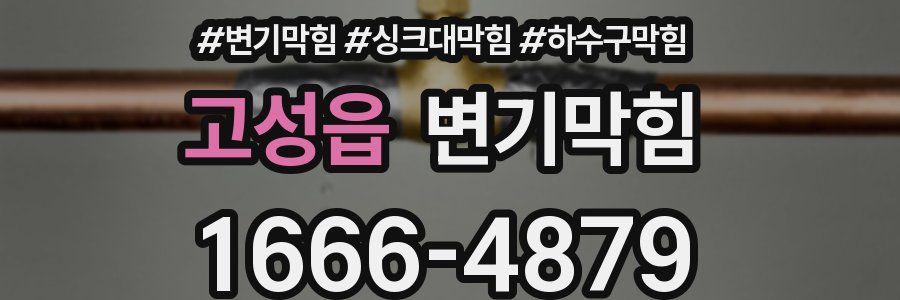 변기막힘