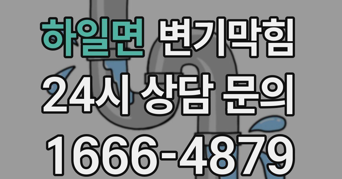 하일면 변기