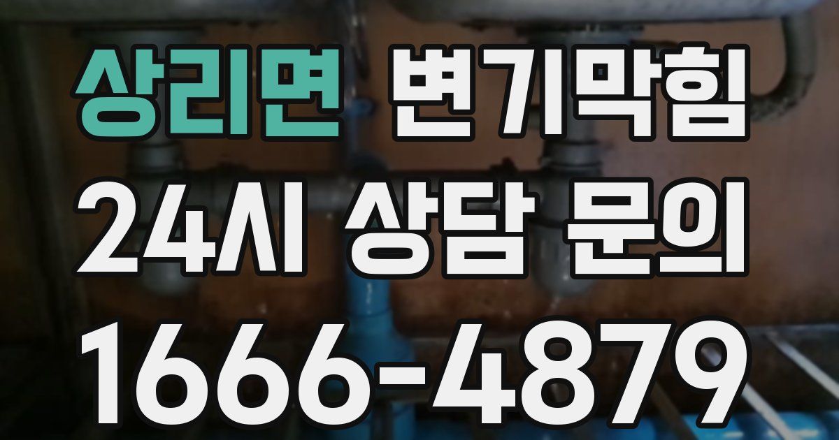 상리면 변기