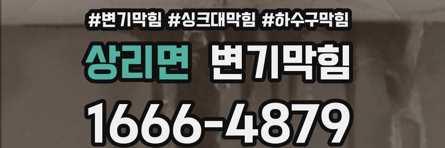 변기막힘