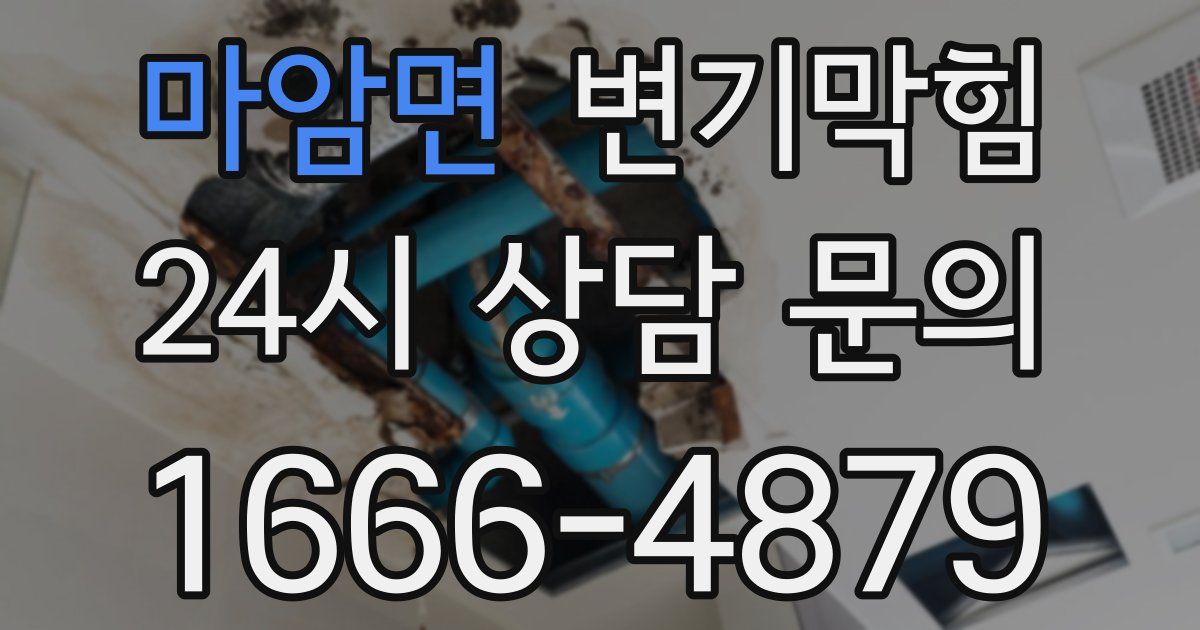 마암면 변기