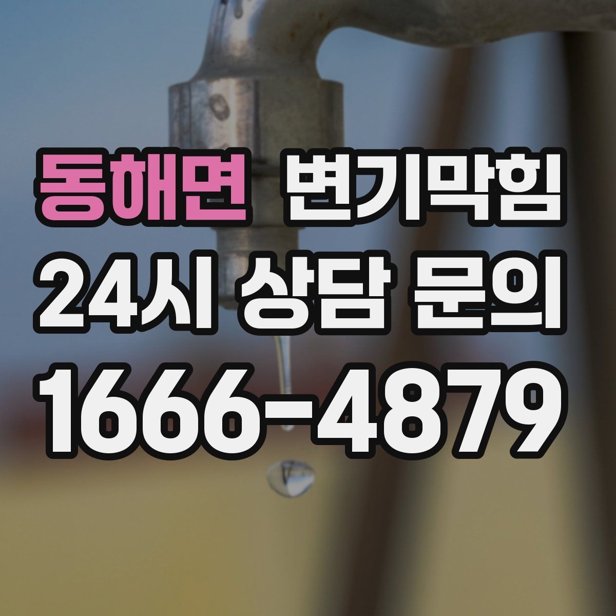 동해면 변기막힘