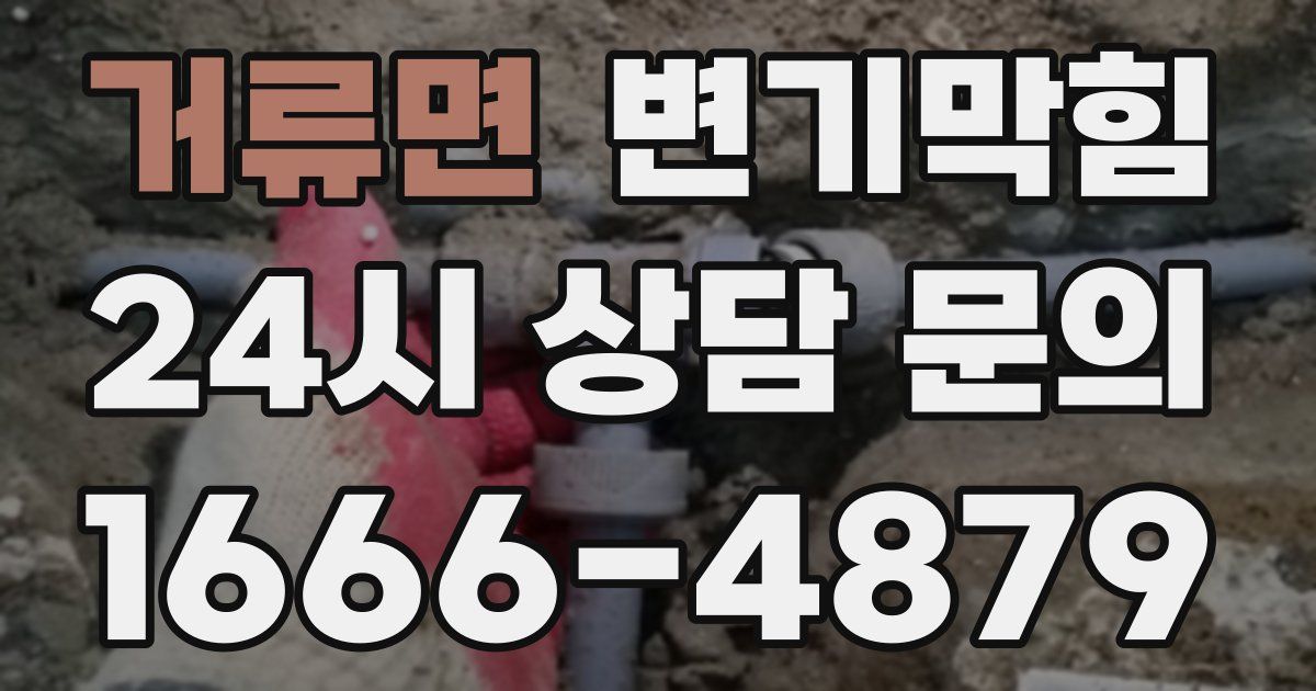거류면 변기