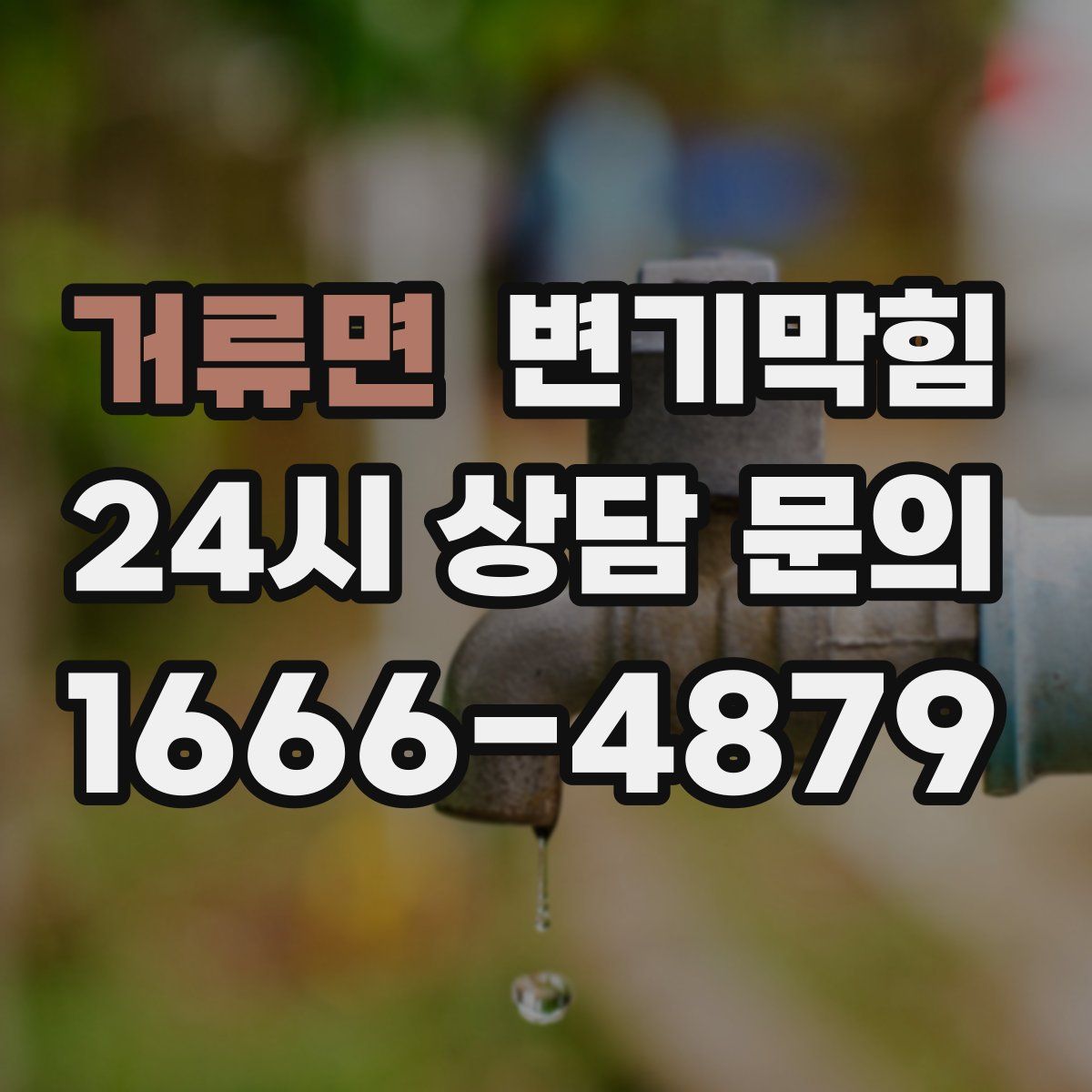 거류면 변기막힘