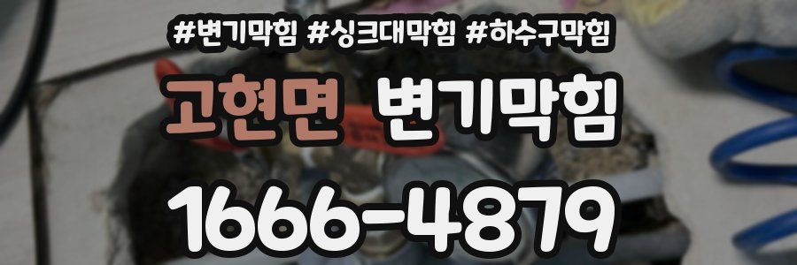 변기막힘