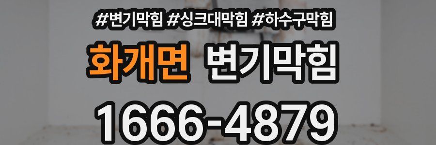 변기막힘