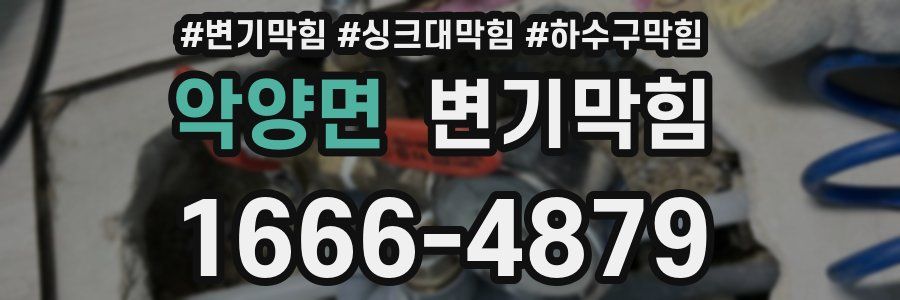 변기막힘