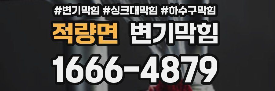 변기막힘