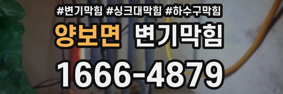 변기막힘