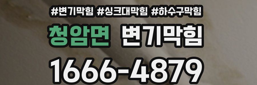 변기막힘