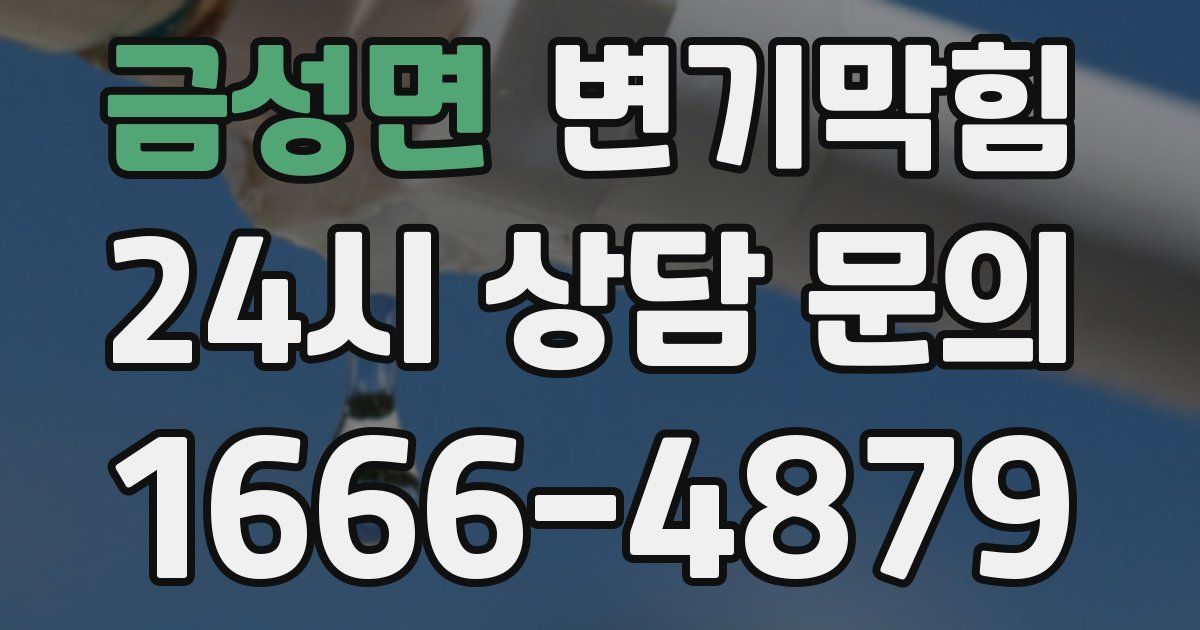 금성면 변기