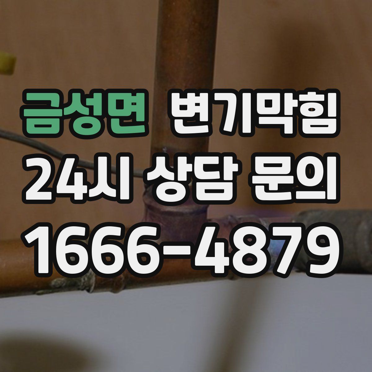 금성면 변기막힘