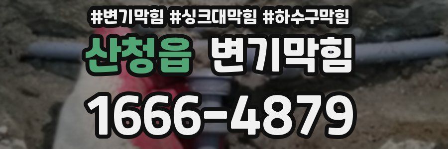 변기막힘