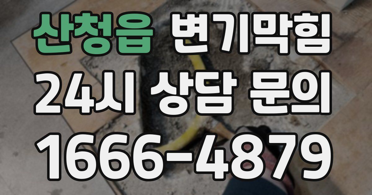 산청읍 변기